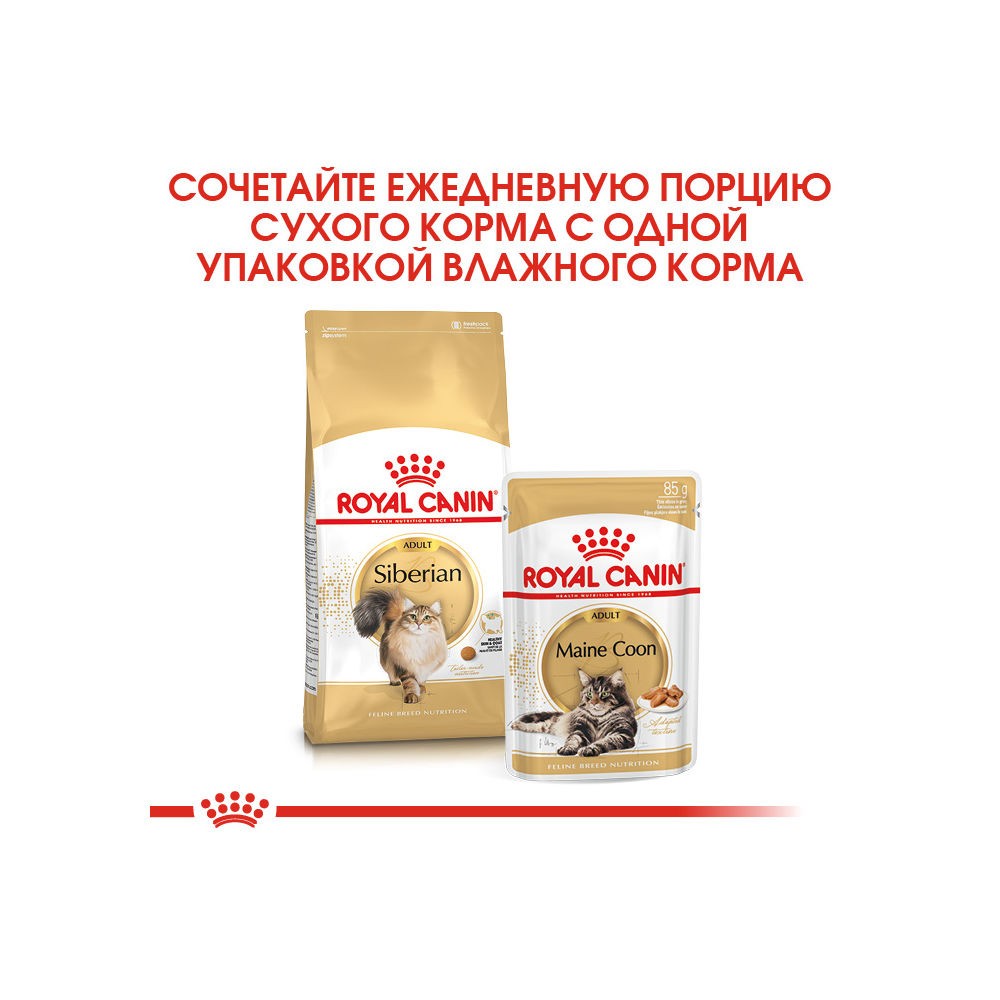 Корм для кошек ROYAL CANIN Siberian сибирской породы от 12 месяцев сух.