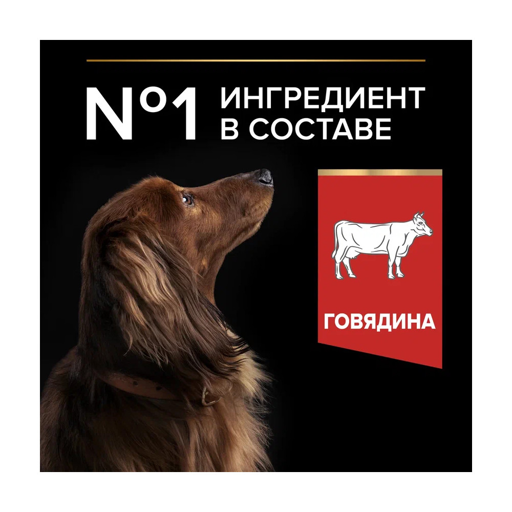 Корм для собак PRO PLAN Duo delice для мелких и карликовых пород, с говядиной сух.