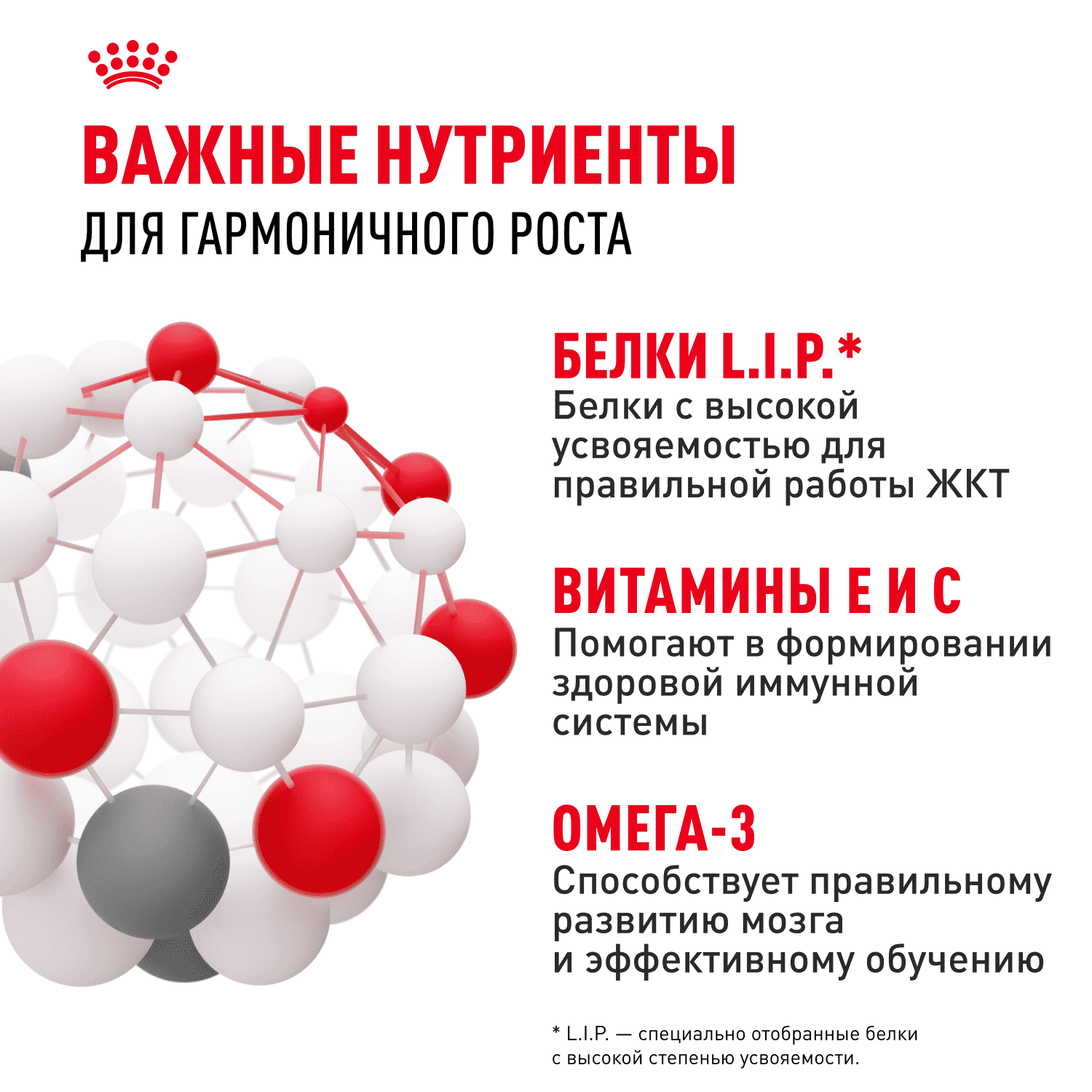 Корм для щенков ROYAL CANIN Medium Puppy для средних пород от 2 до 12 месяцев сух.