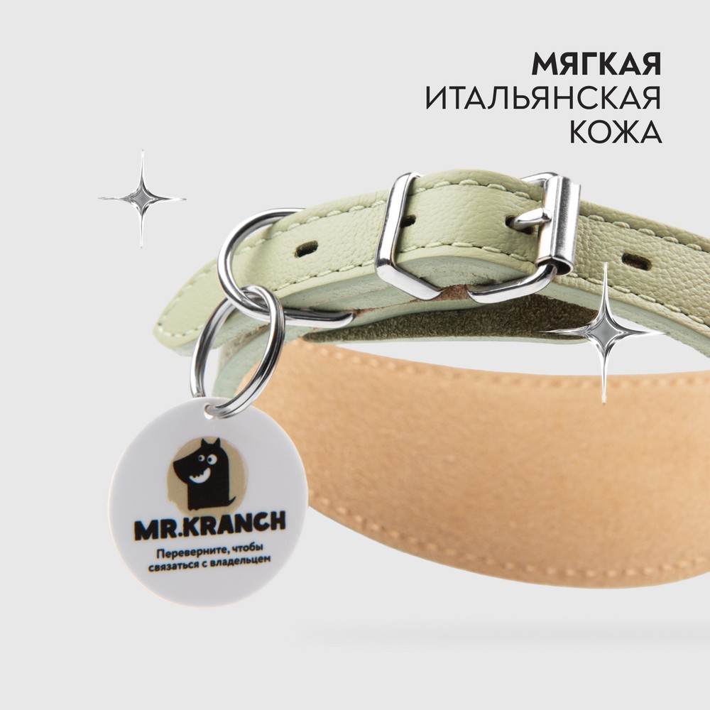 Ошейник-селедка для собак MR.KRANCH из натуральной кожи с QR-адресником, нежно-зеленый 21-25см