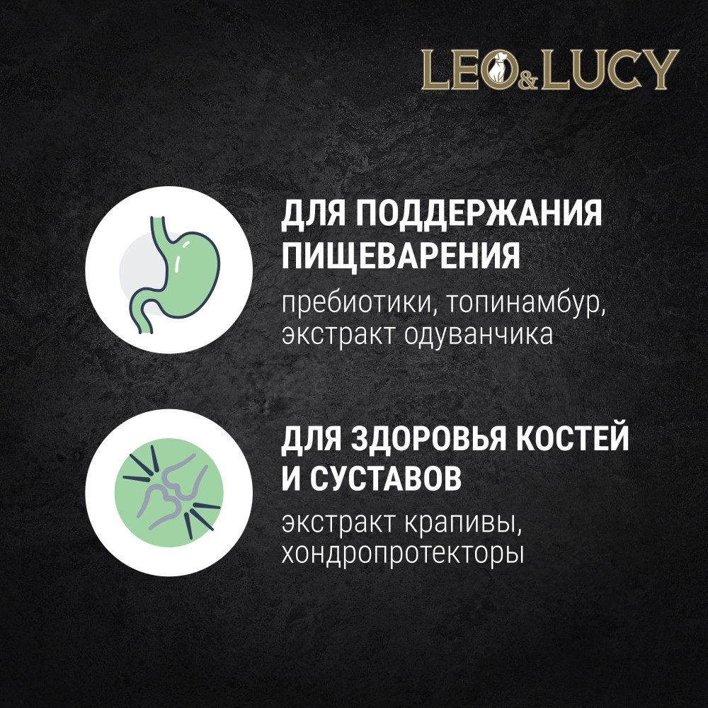 Корм для собак LEO&LUCY паштет с индейкой, ягодами и биодобавками, подходит пожилым банка