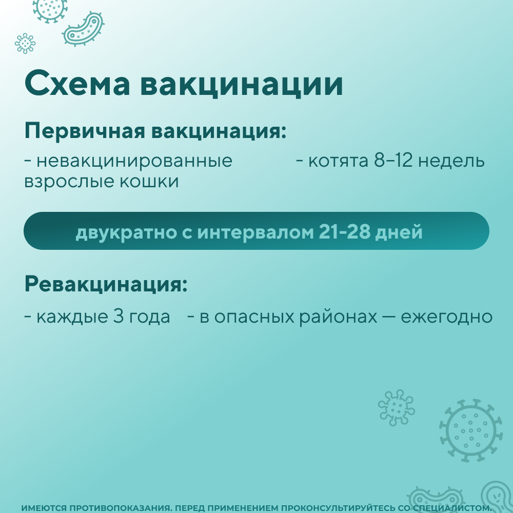 Вакцина ВЕТБИОХИМ РАБИФЕЛ против бешенства кошек инактивированная 1 флакон