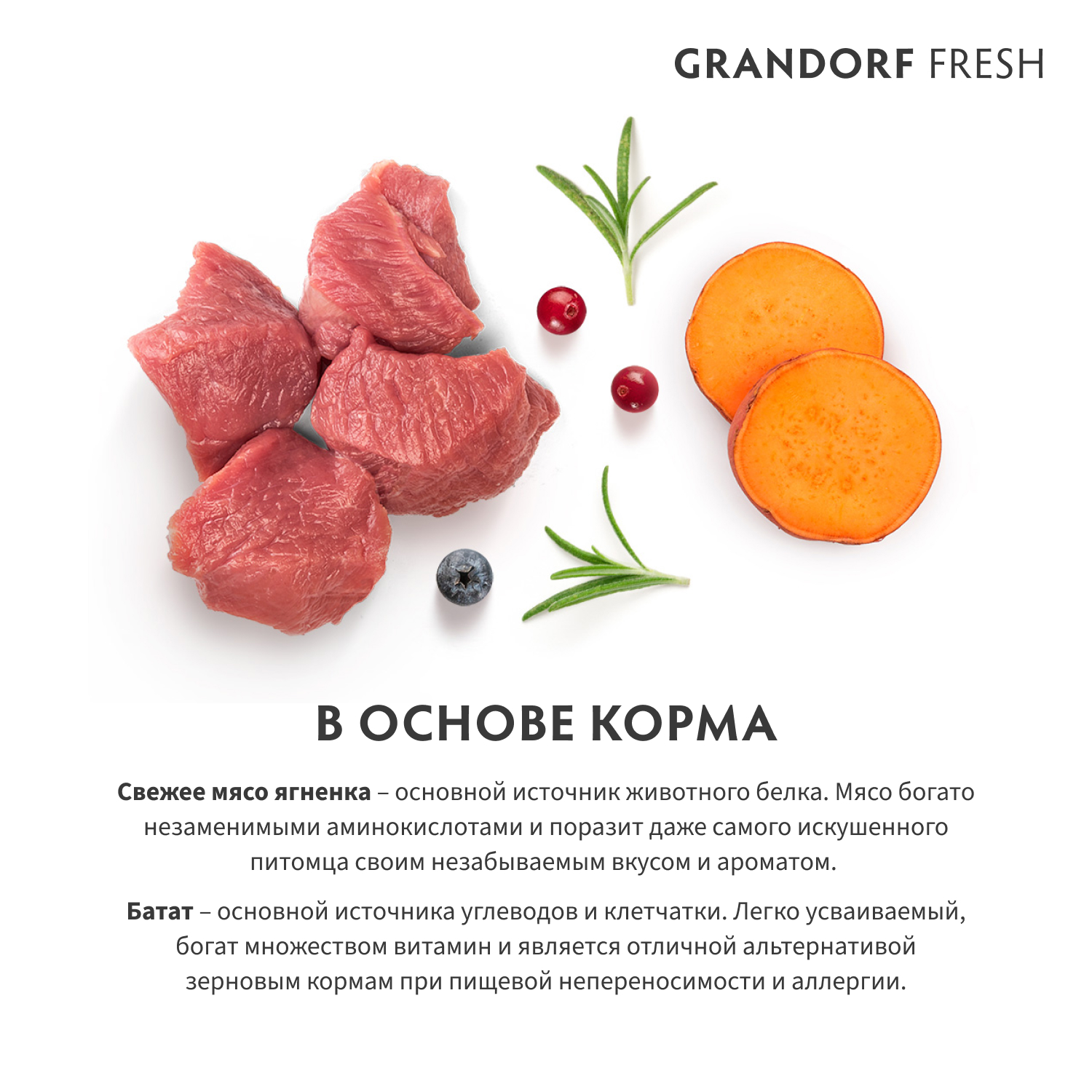 Беззерновой корм с живыми пробиотиками для кошек GRANDORF Fresh Cat Large для крупных пород, свежее мясо ягненка с бататом сух.