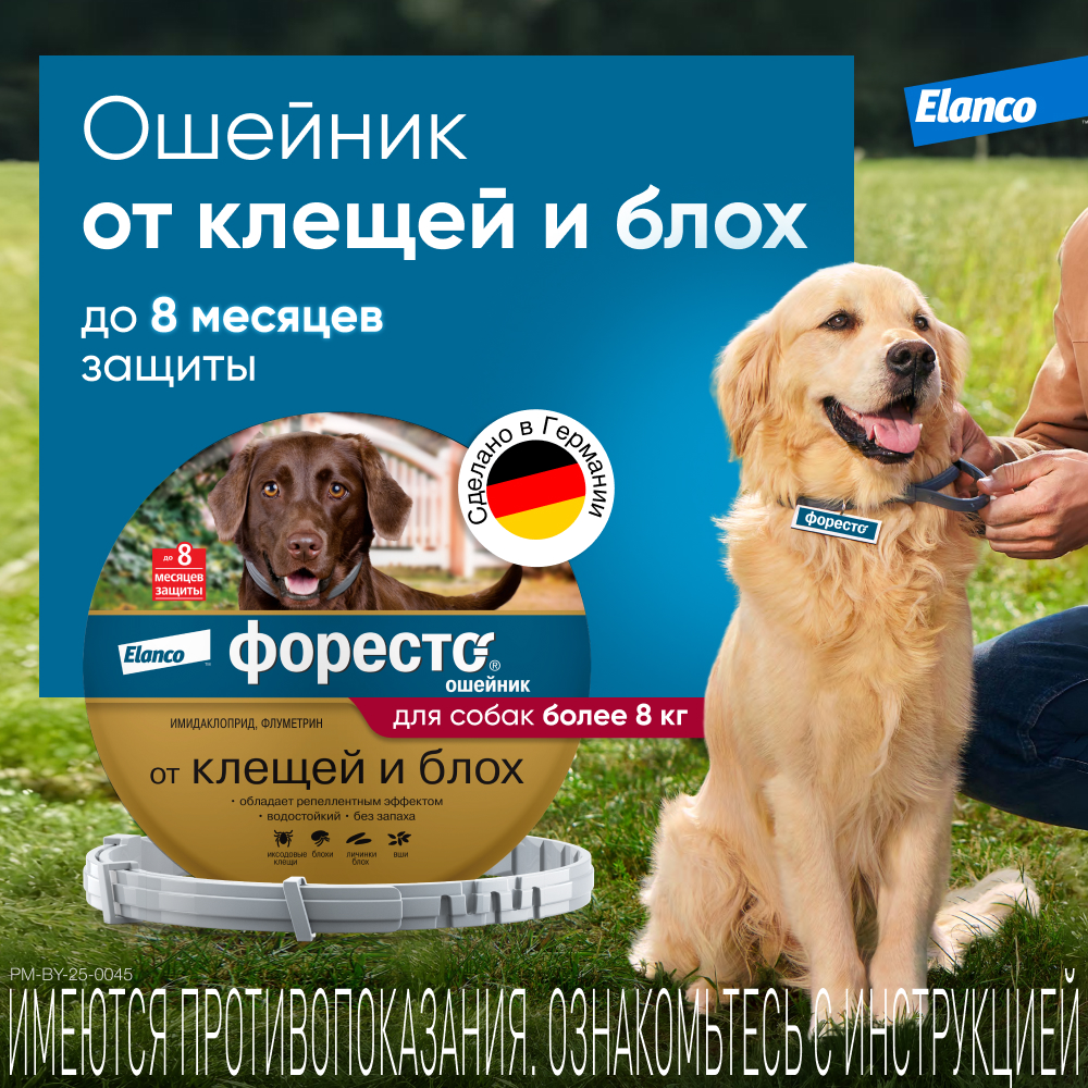 Ошейник для собак ELANCO Форесто от 8кг от клещей, блох и вшей, защита 8 месяцев 70см