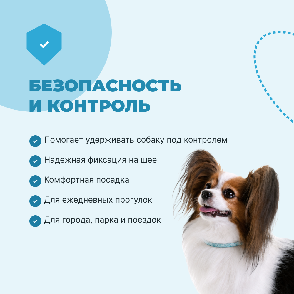 Ошейник для собак FOXIE Lily S 1,2х31см голубой