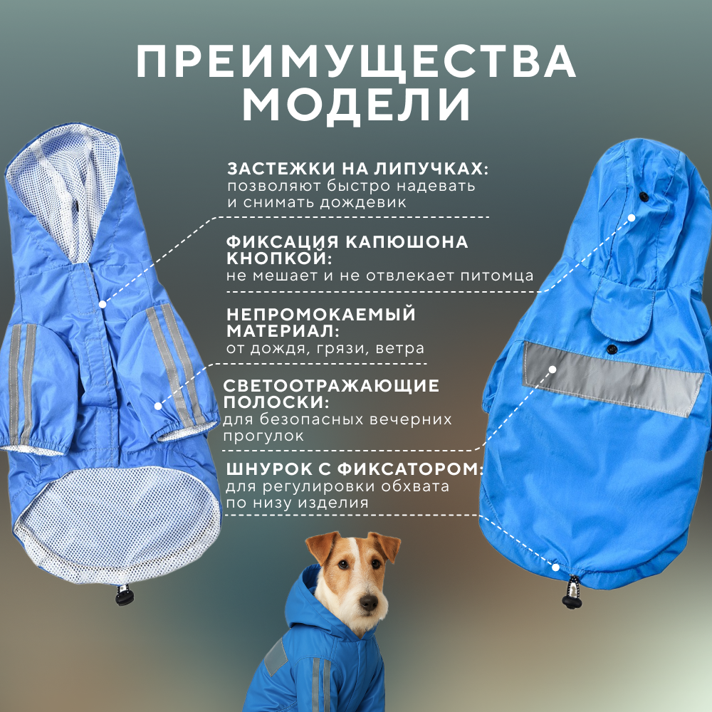 Дождевик для собак FOXIE Rain синий