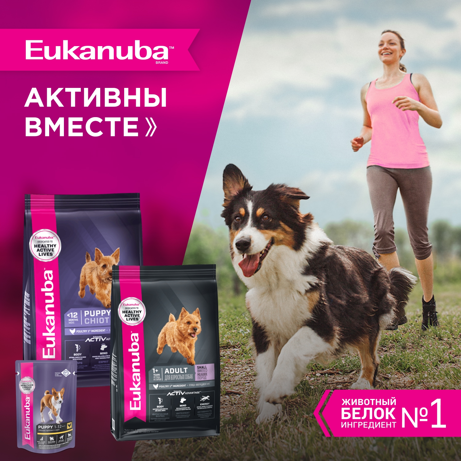 Корм для щенков EUKANUBA Puppy Small Breed для мелких пород сух.