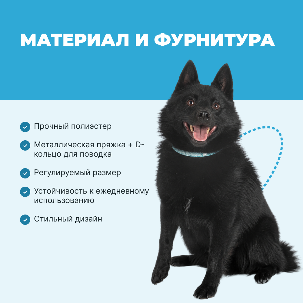 Ошейник для собак FOXIE Lily M 1,5х35см голубой