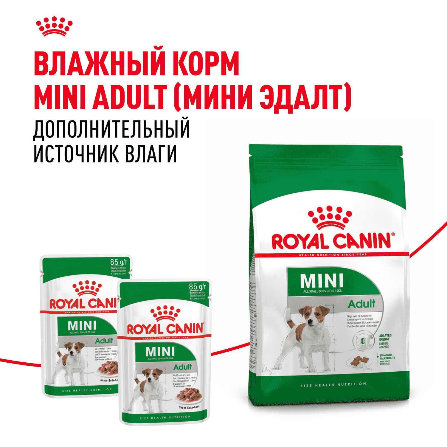 Корм для собак ROYAL CANIN Mini Adult для мелких пород от 10 месяцев сух.