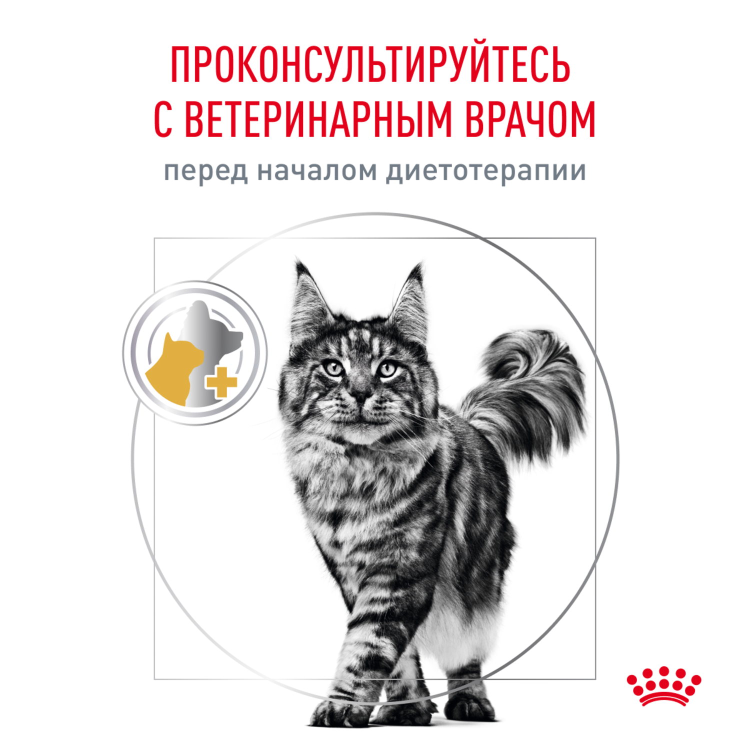 Корм для кошек ROYAL CANIN Urinary S/O Moderate Calorie для склонных к набору веса, при МКБ сух.
