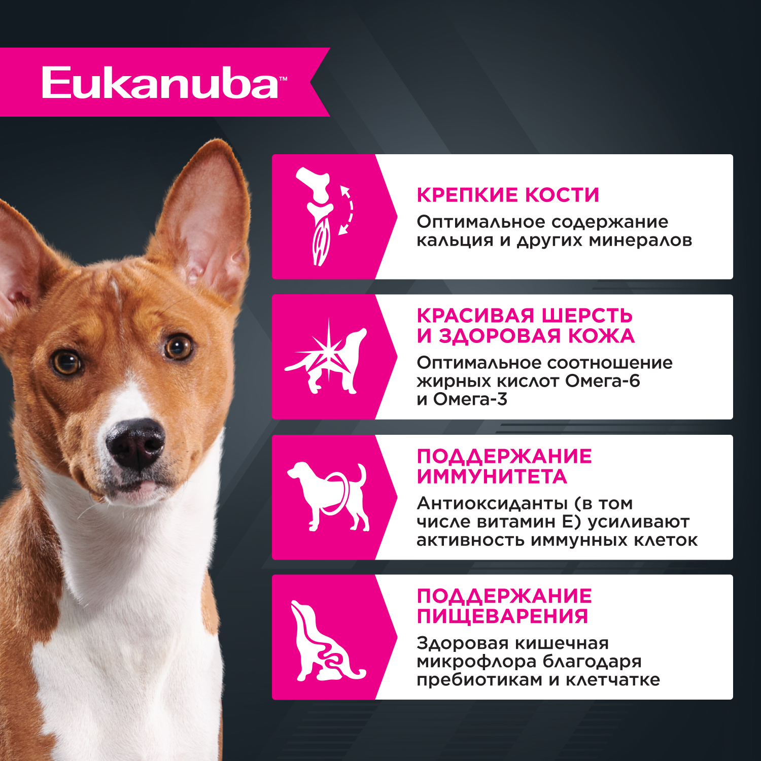 Корм для собак EUKANUBA курица в соусе пауч