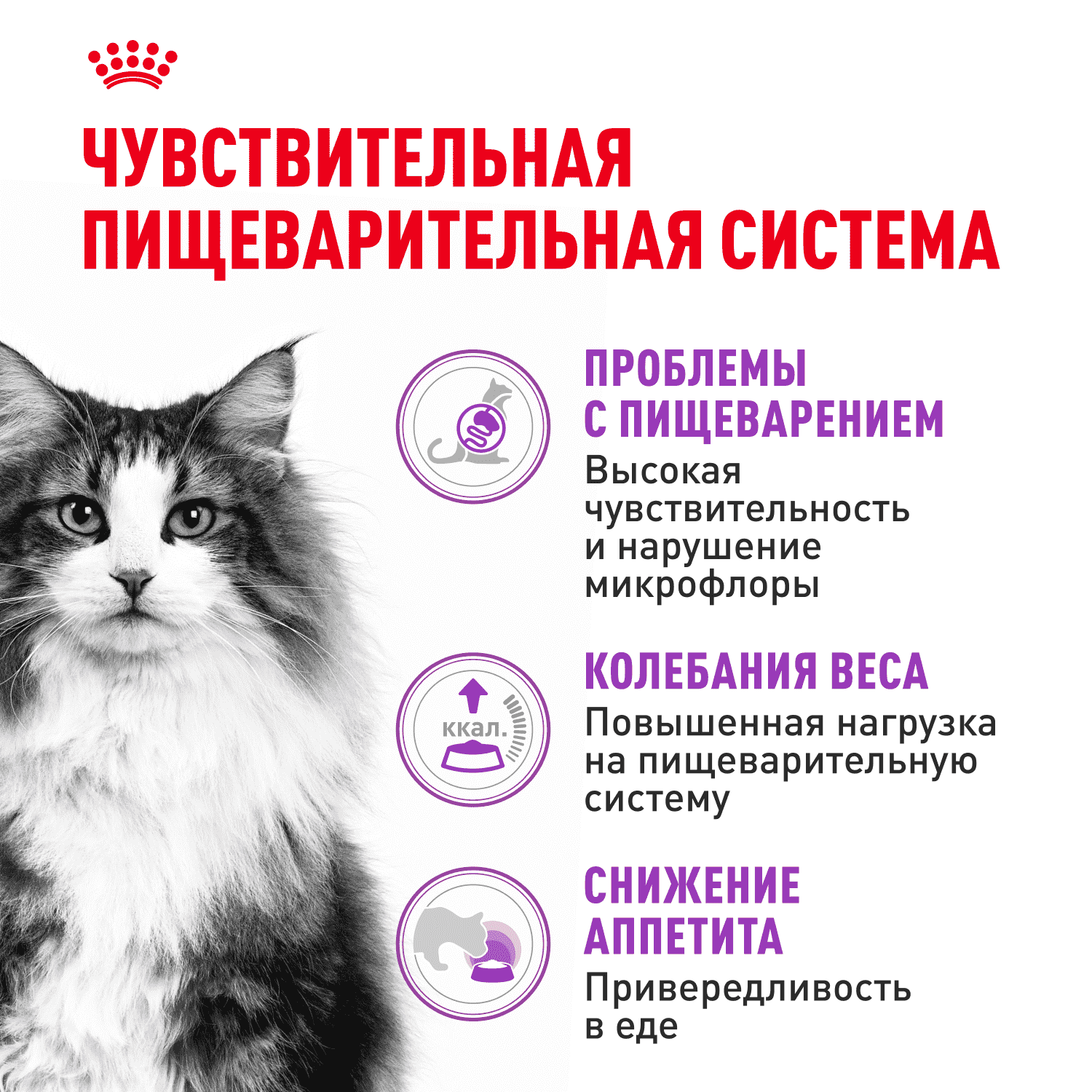 Корм для кошек ROYAL CANIN Sensible с чувствительной пищеварительной системой сух.