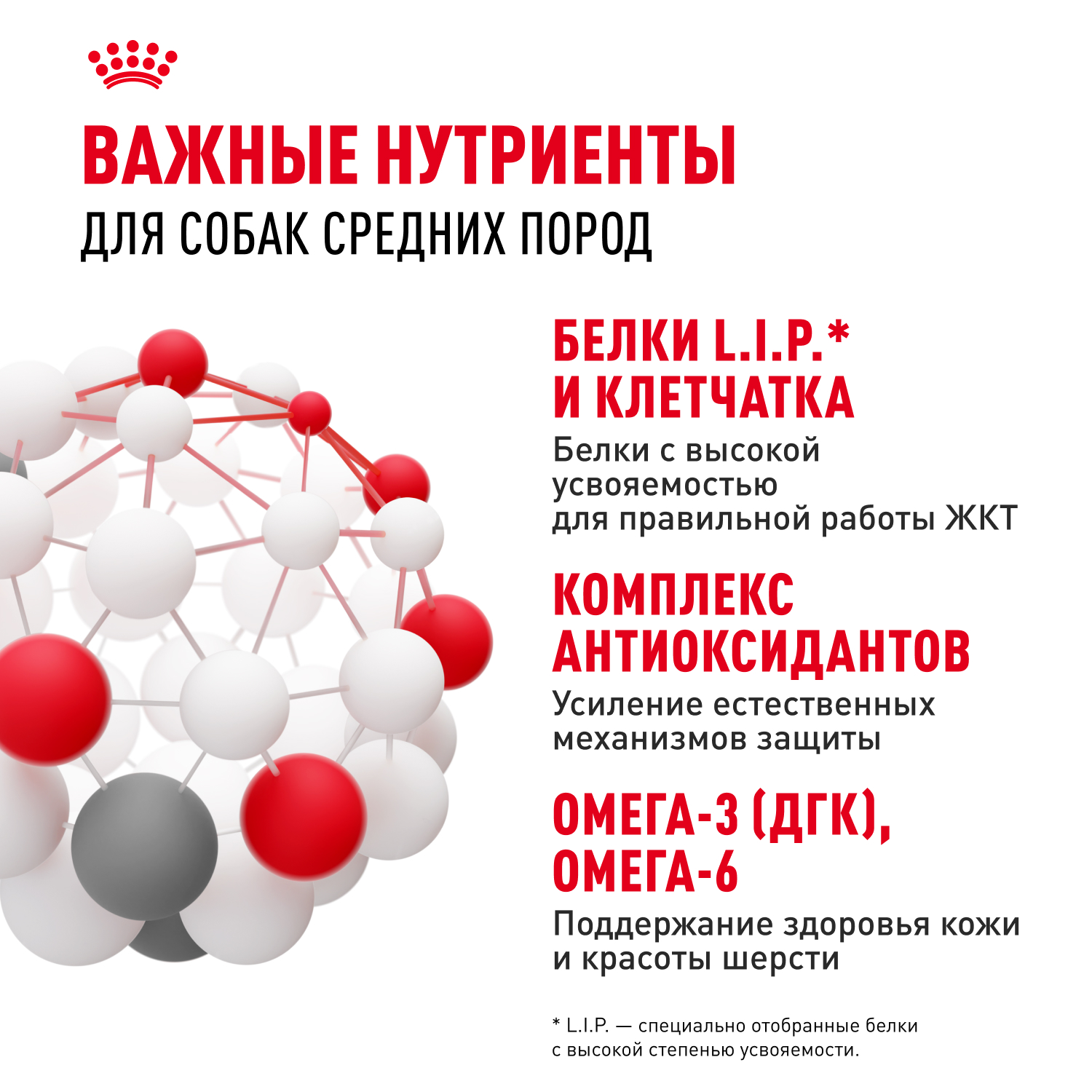 Корм для собак ROYAL CANIN Medium для средних пород, кусочки в соусе пауч