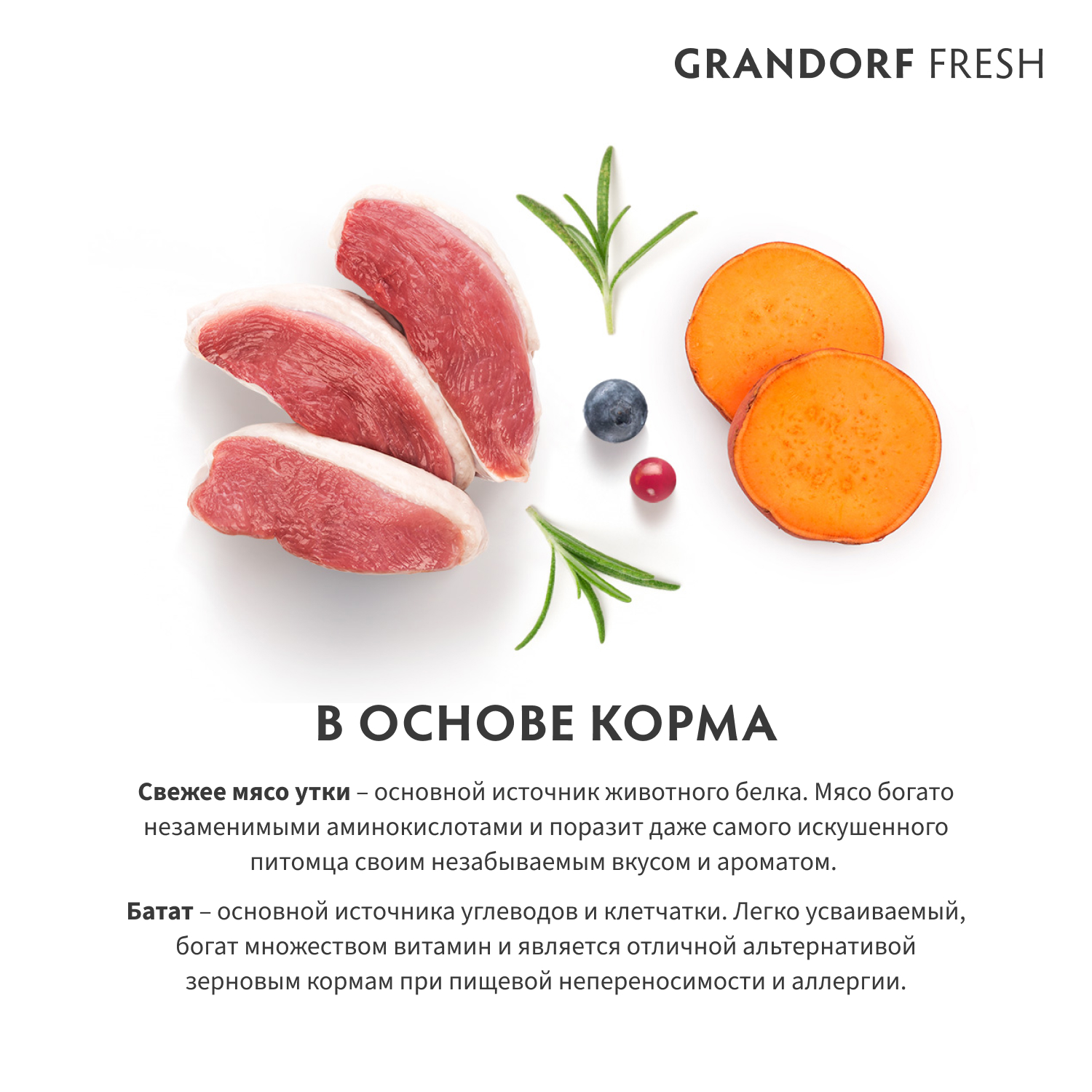 Беззерновой корм с живыми пробиотиками для кошек GRANDORF Fresh Cat Свежее мясо утки с бататом сух.