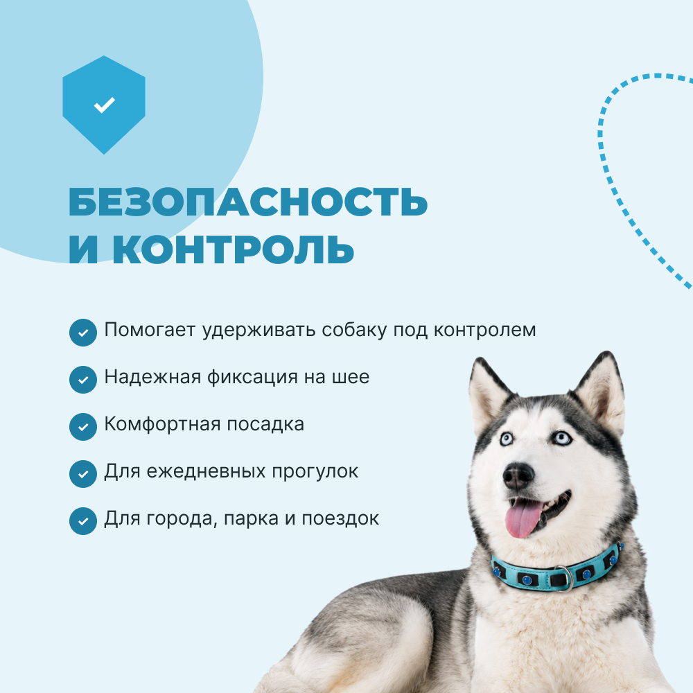 Ошейник для собак FOXIE Lagoon S 1,5х30-45см голубой