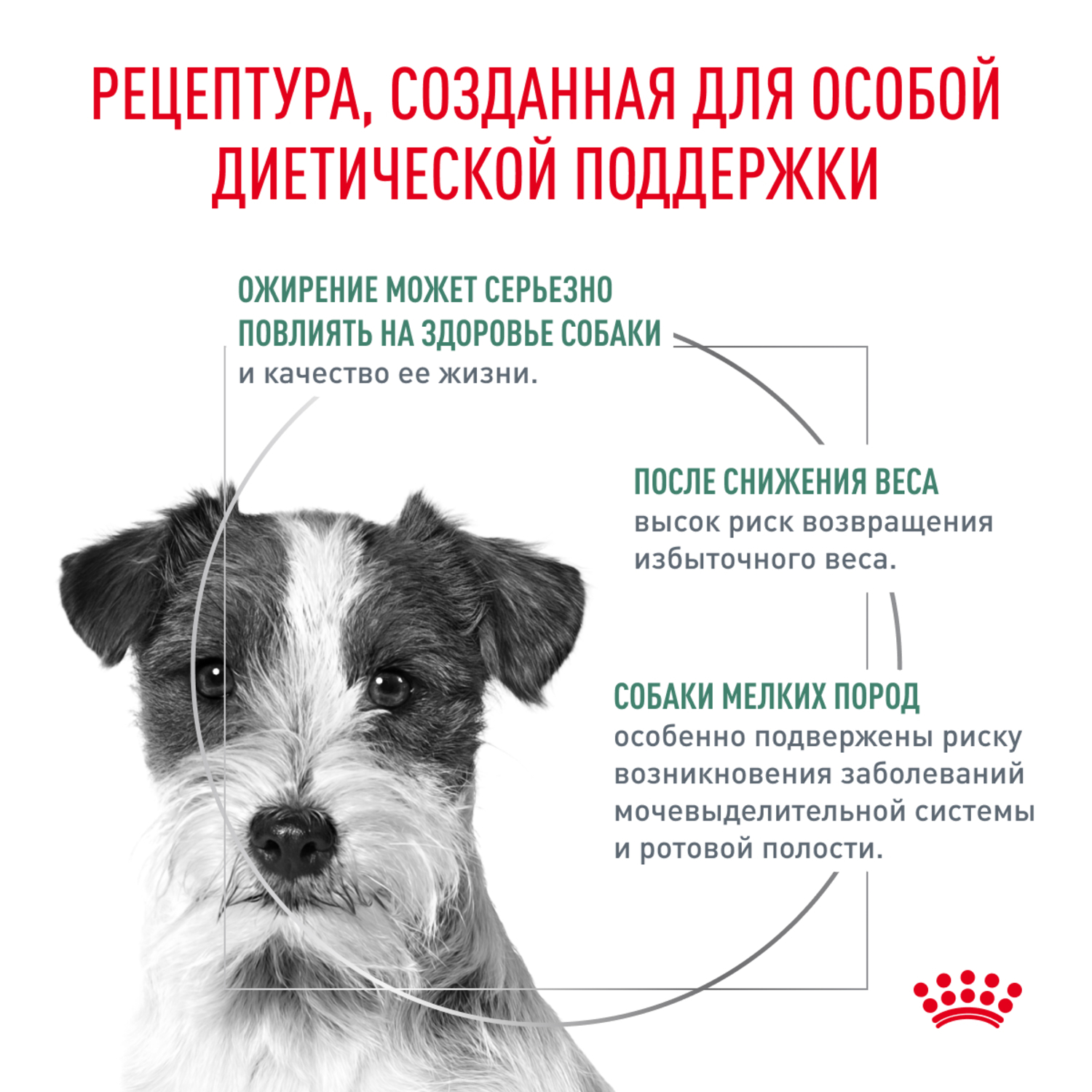 Корм для собак ROYAL CANIN Vet Diet Satiety Small Dog при ожирении сух.