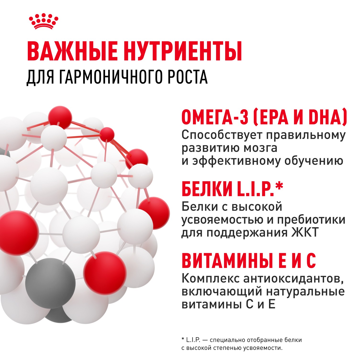 Корм для щенков ROYAL CANIN Maxi Puppy для крупных пород до 15 месяцев, сух.