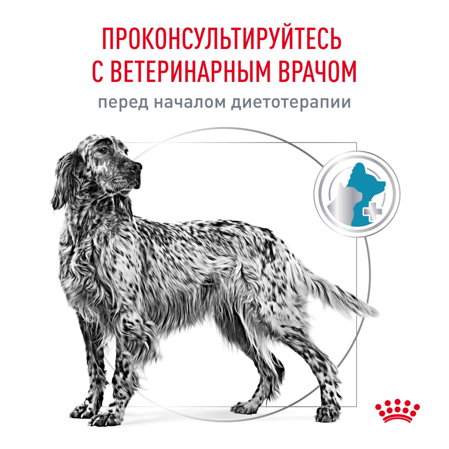 Корм для собак ROYAL CANIN Vet Diet Hypoallergenic DR21 при пищевой непереносимости, птица сух.