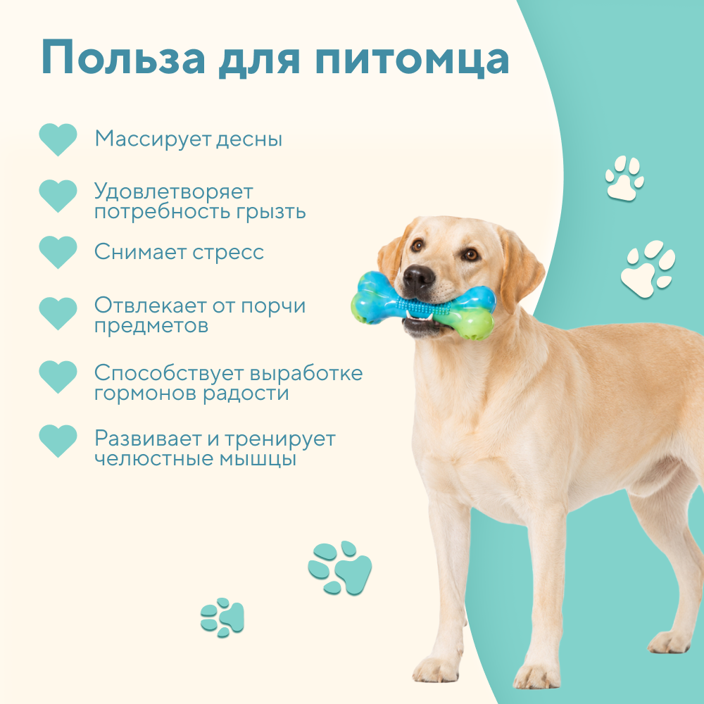 Игрушка для собак FOXIE Косточка массажная плавающая 17,5x7x4,5см