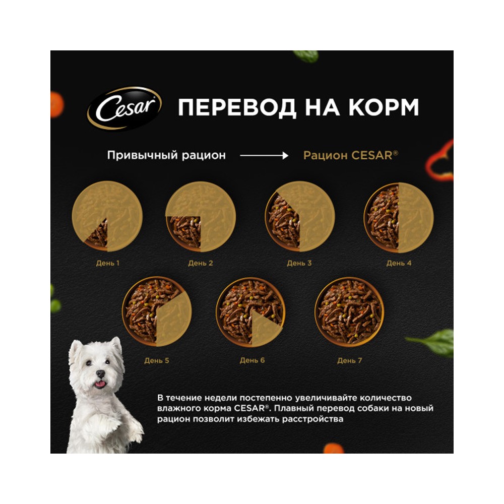 Корм для собак CESAR индейка с горохом и морковью в желе пауч