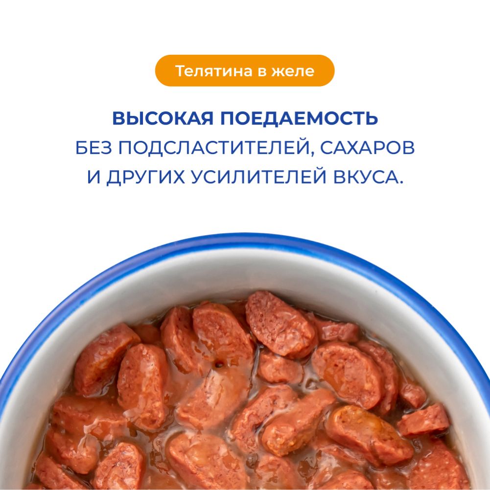 Корм для котят и беременных кошек JARVI кусочки в желе, телятина пауч