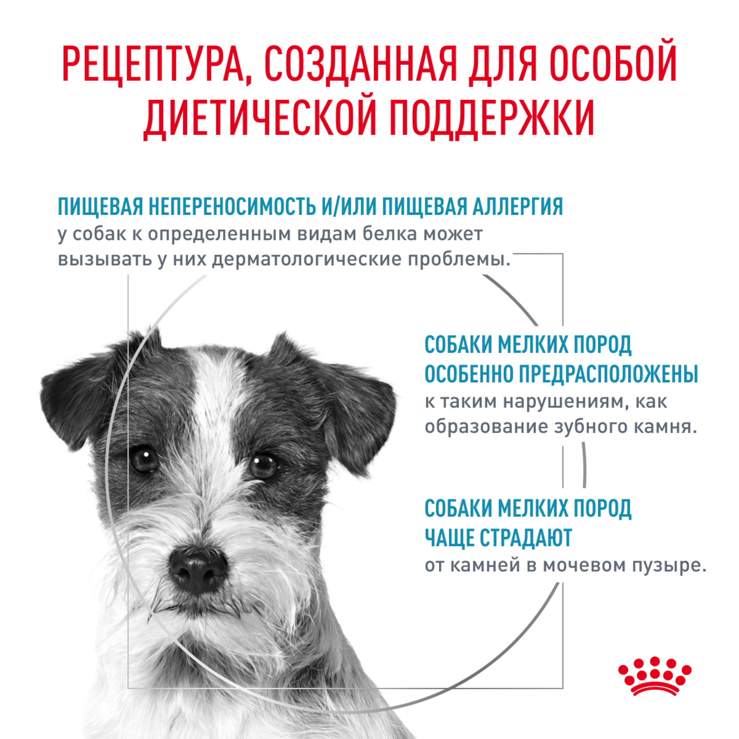 Корм для собак ROYAL CANIN Hypoallergenic Small Dog для мелких пород при пищевой аллергии сух.