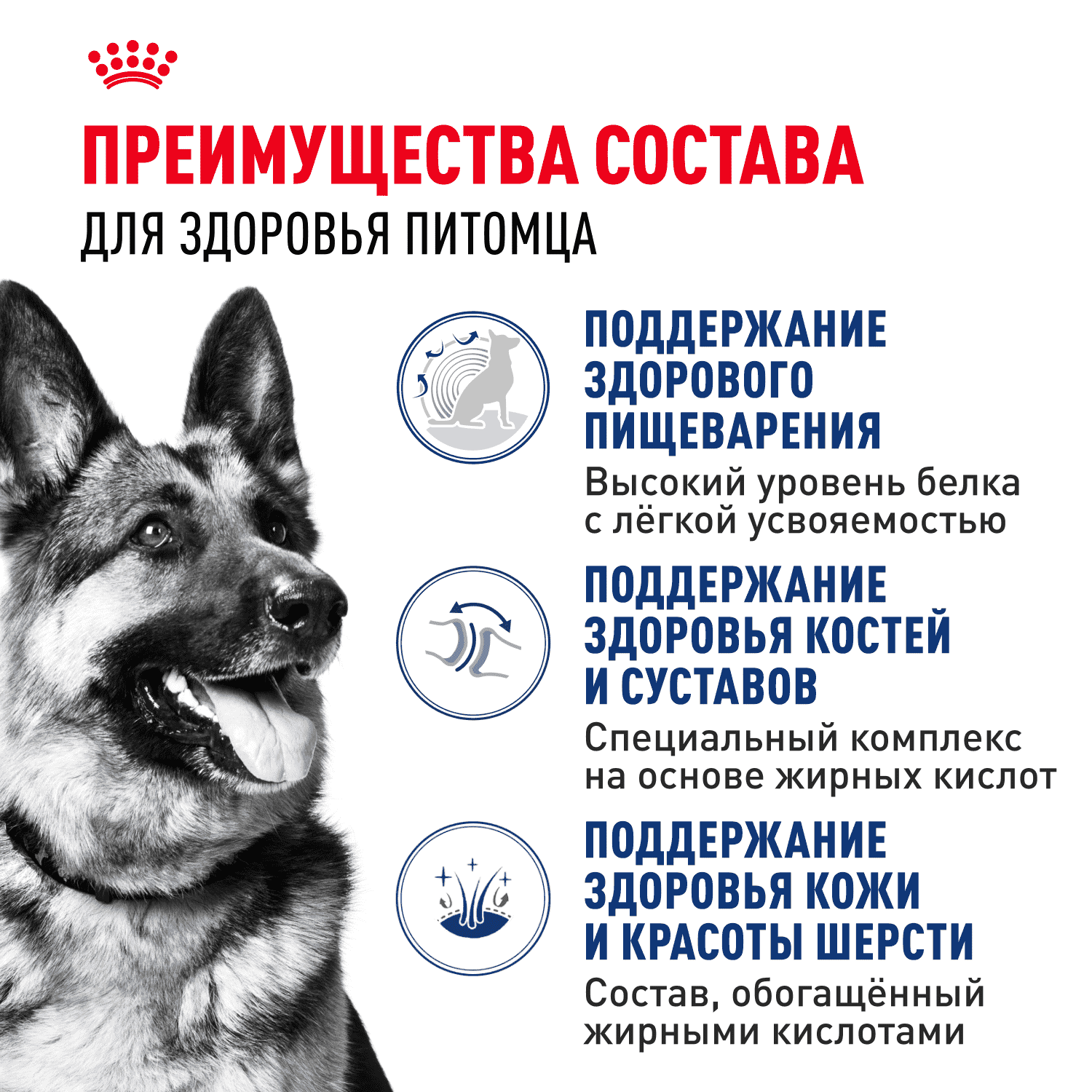 Корм для собак ROYAL CANIN Maxi Adult для крупных пород от 15 месяцев до 5 лет, сух.