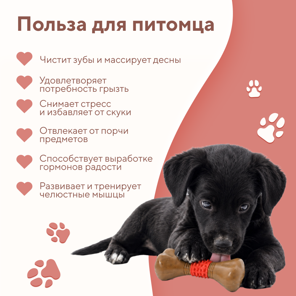 Игрушка для собак FOXIE Косточка массажная с добавл.дерева c запахом бекона 13x4,85x3,85см красная