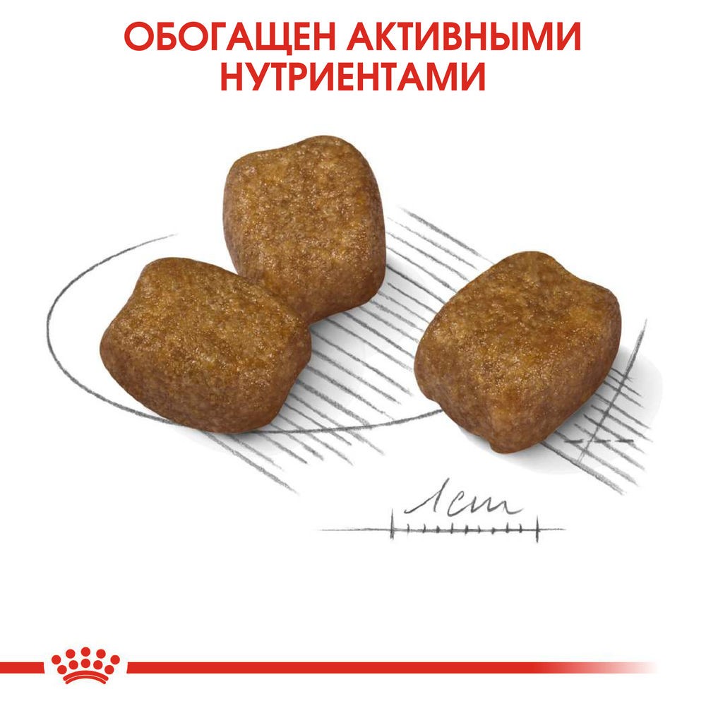 Корм для собак ROYAL CANIN Size Mini Dental мелких пород предрасположенных к образованию зубн.камня сух.