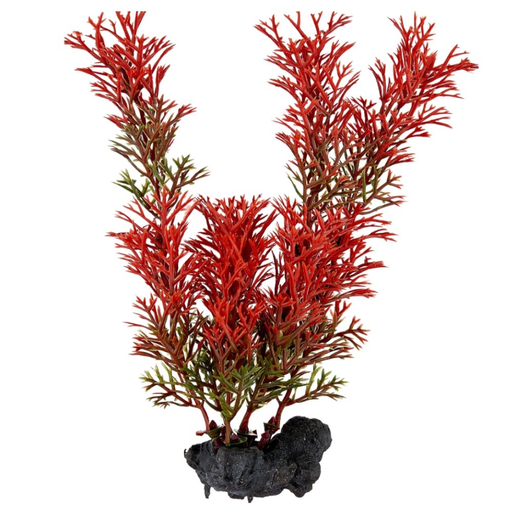 Растение TETRA Deco Art искусственное Перистолистник S (15см)