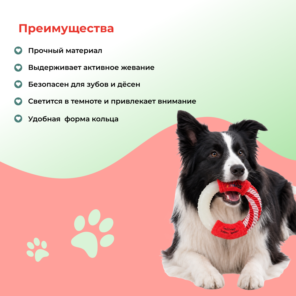 Игрушка для собак FOXIE Multi Кольцо светящееся в темноте 16х3,2см