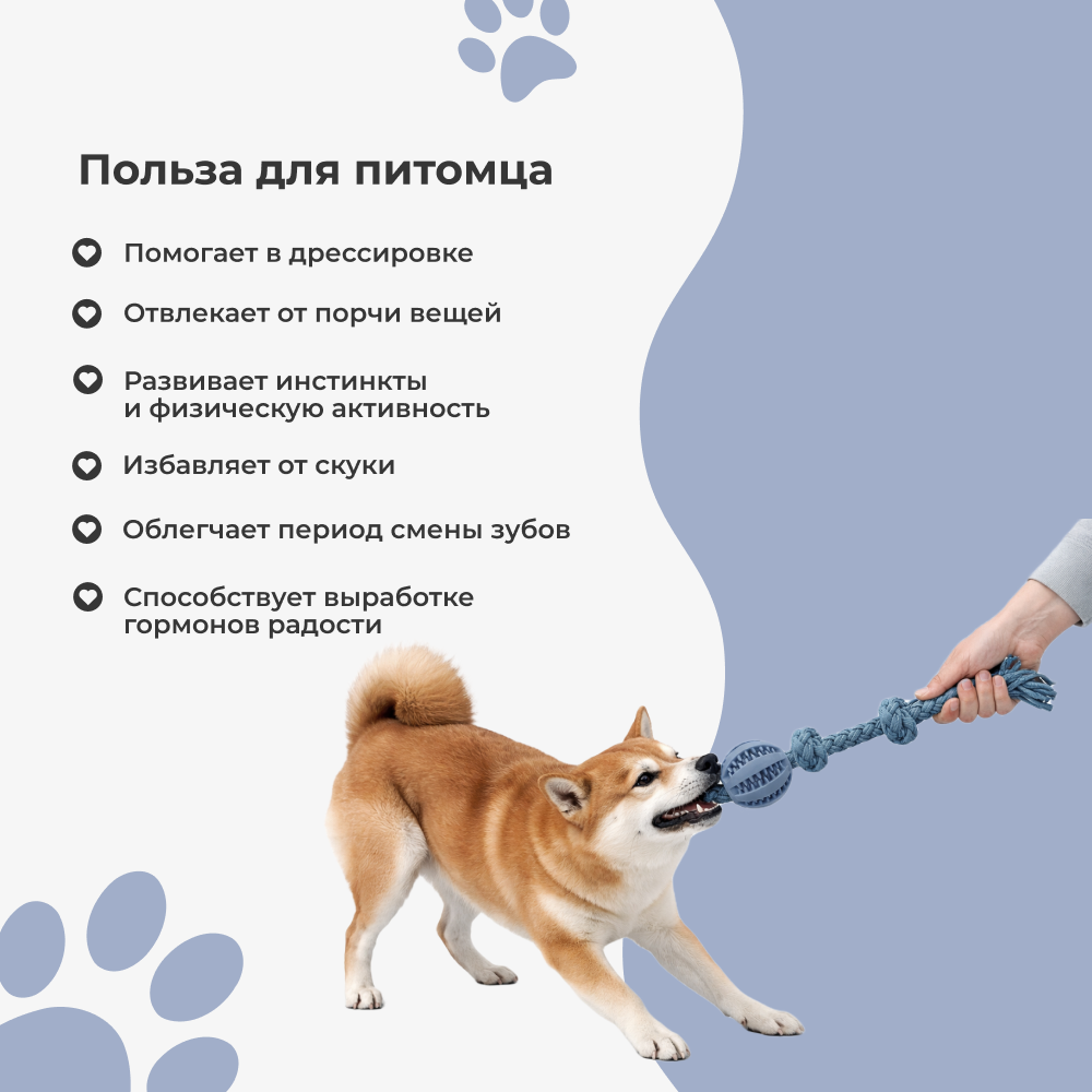 Игрушка для собак FOXIE Тяни-толкай Канат с массажным мячом 6,5х43см синий