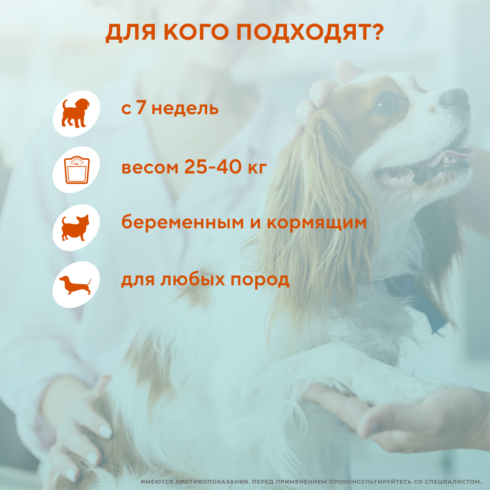 Капли для собак INSPECTOR Quadro от внешних и внутренних паразитов (от 25 до 40кг)