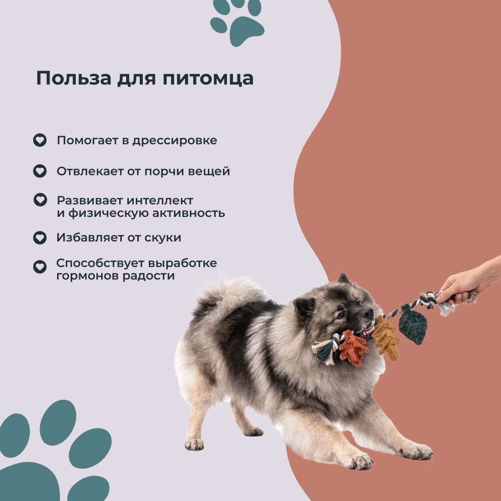 Игрушка для собак FOXIE Тяни-толкай Листья на канате, с шуршалкой 30х14х1,5см