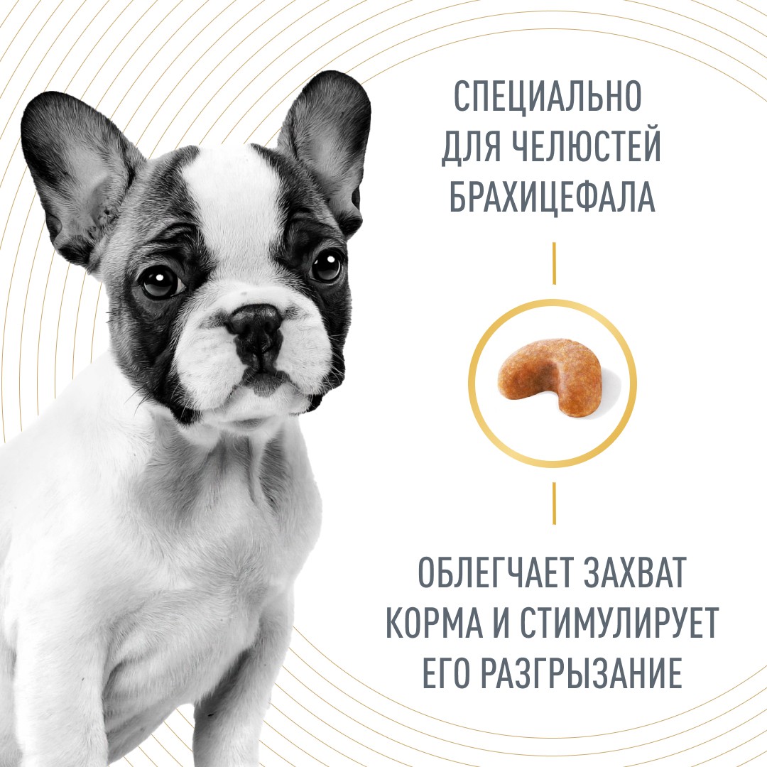 Корм для щенков ROYAL CANIN French Bulldog Puppy для породы Французский бульдог до 12 мес. сух.