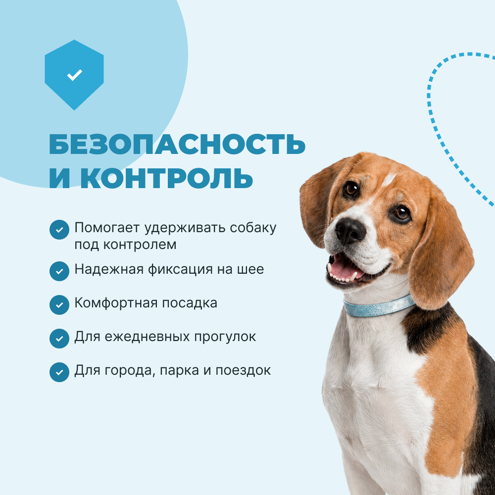 Ошейник для собак FOXIE Lily L 2,0х45см голубой