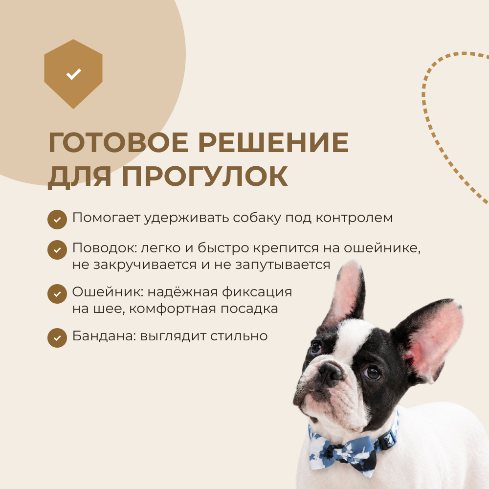 Комплект амуниции для собак FOXIE Gift S голубой