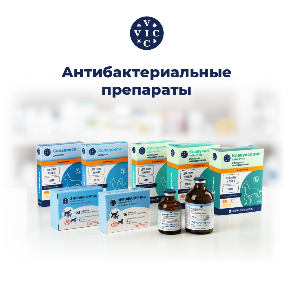 Препарат антимикробный VIC Энрофлон инъекц., 2,5%, 50мл (рецепт)