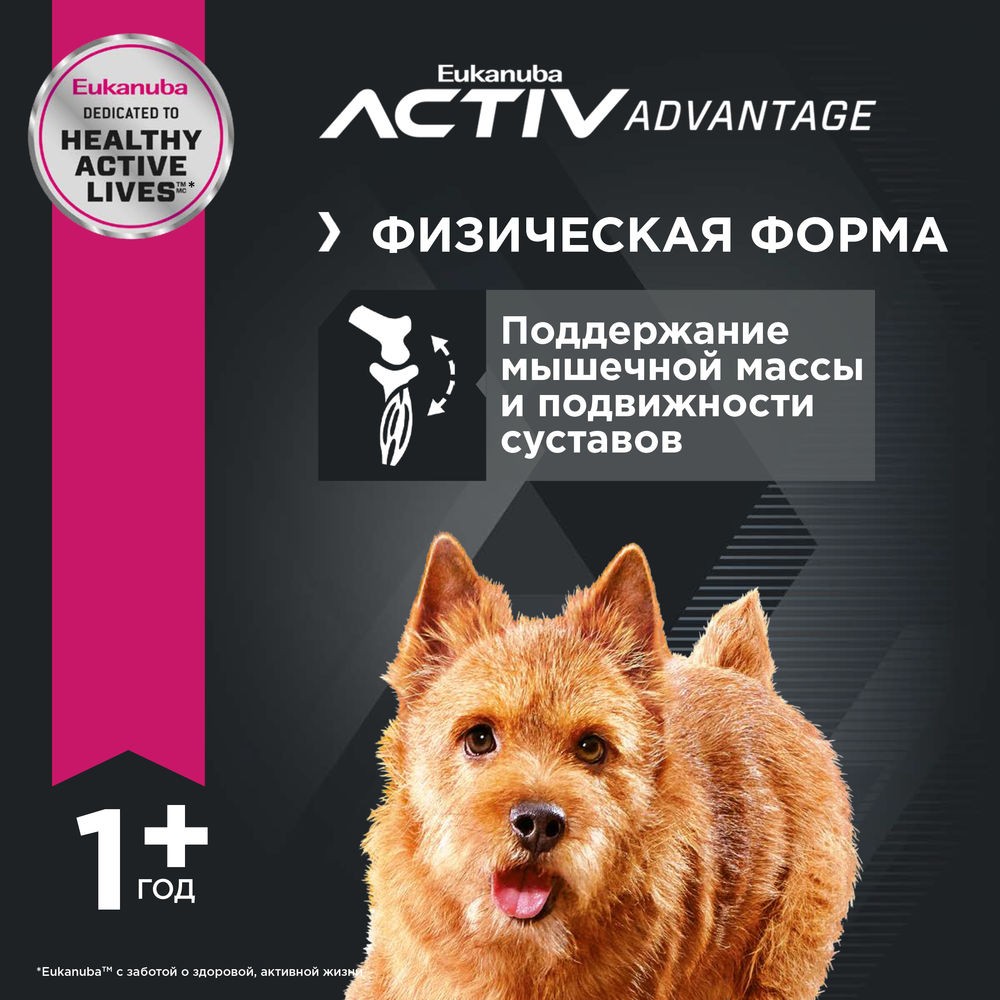 Корм для собак EUKANUBA для мелких пород сух.