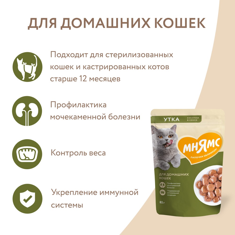 Корм для кошек МНЯМС для домашних, кусочки в соусе с уткой пауч