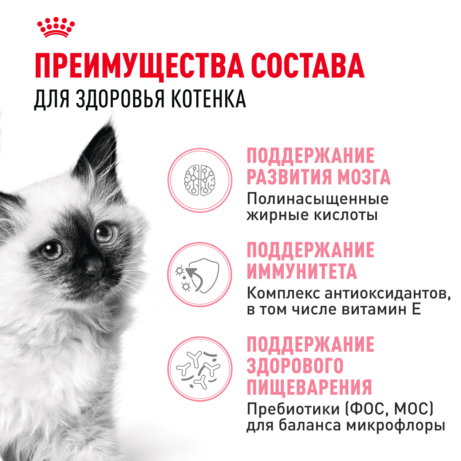Корм для котят ROYAL CANIN сбалансированный в период второй фазы роста сух.