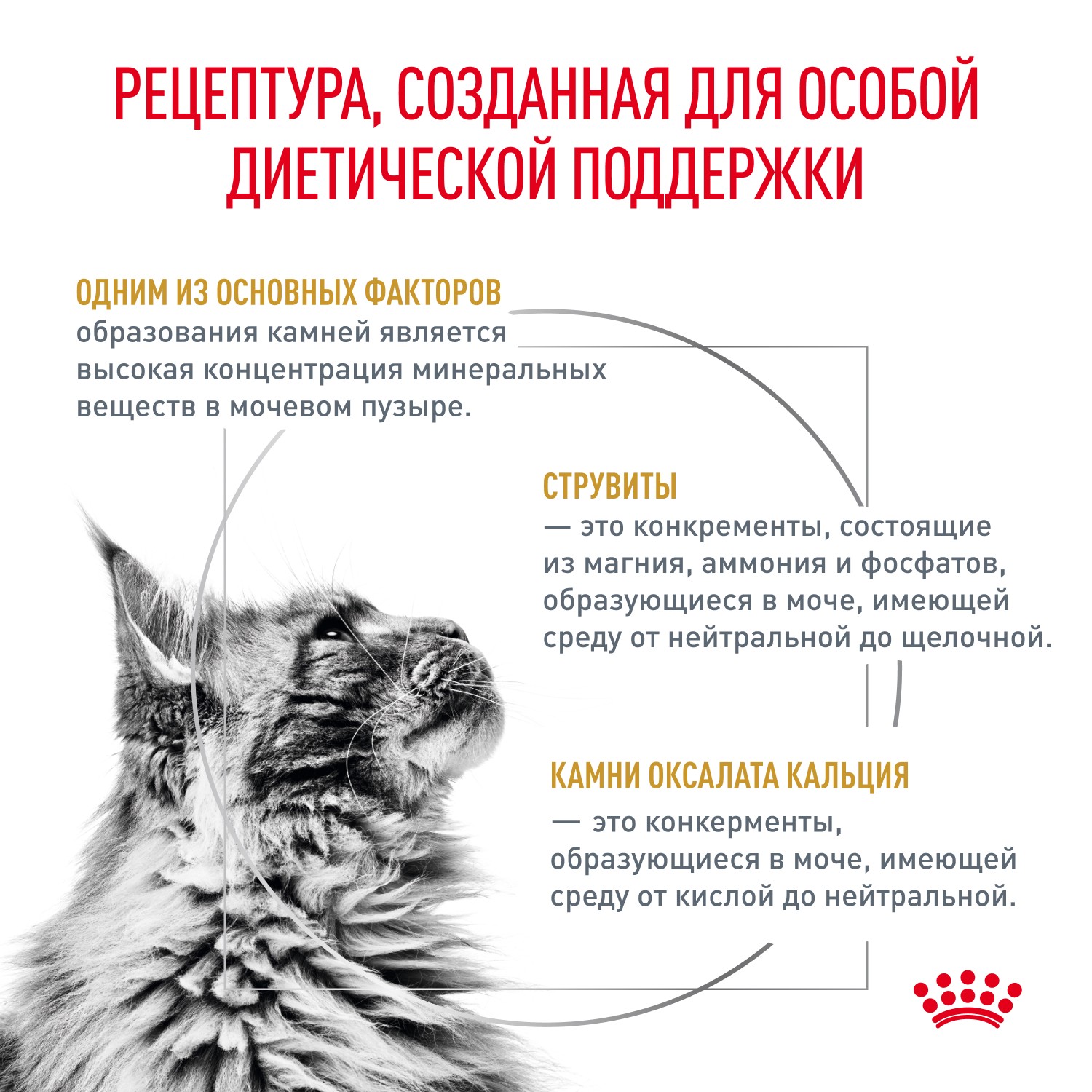 Корм для кошек ROYAL CANIN Vet Diet Urinary S/O при мочекаменной болезни, цыпленок (соус) пауч