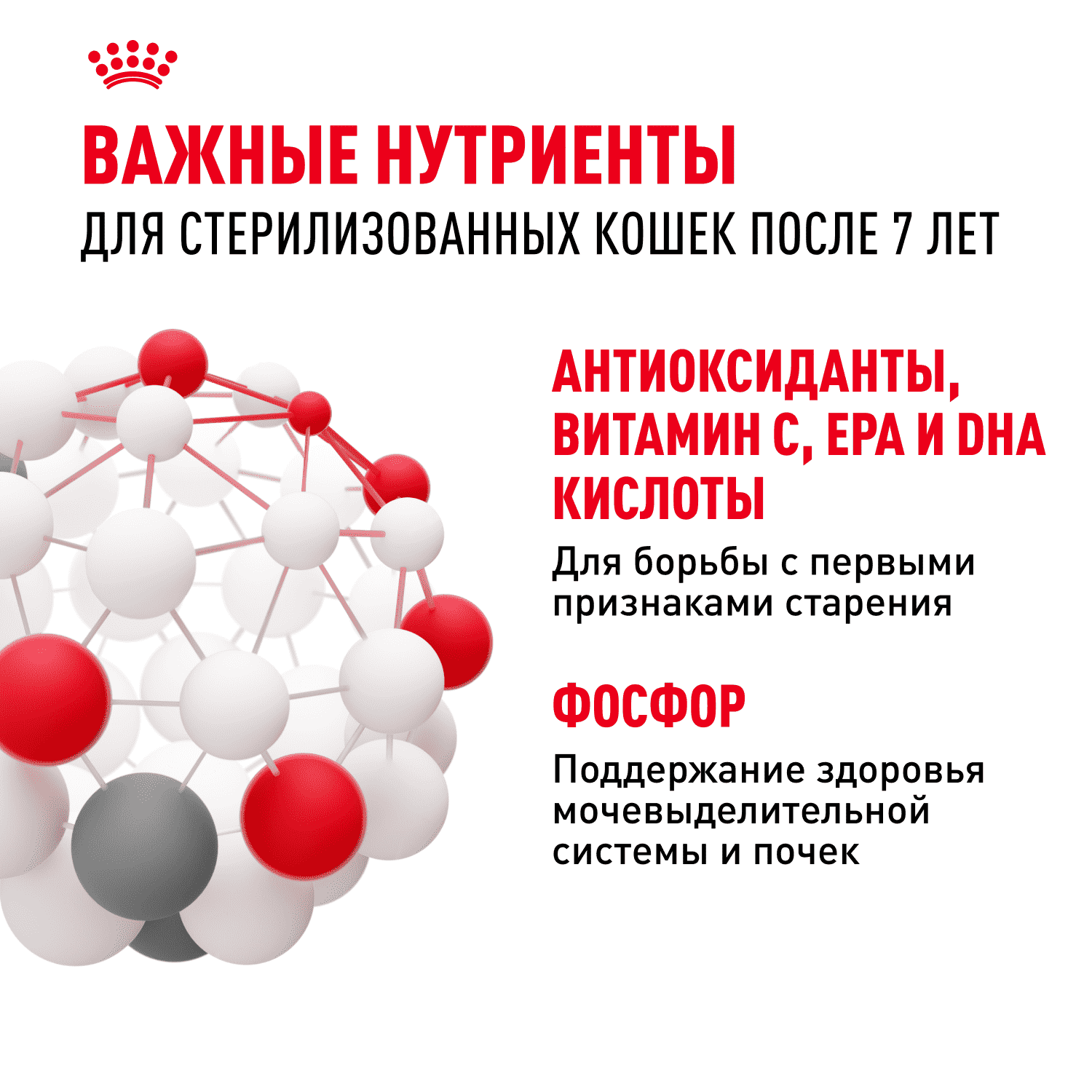Корм для кошек ROYAL CANIN Sterilised 7+ сбалансированный для стерилизованных сух.