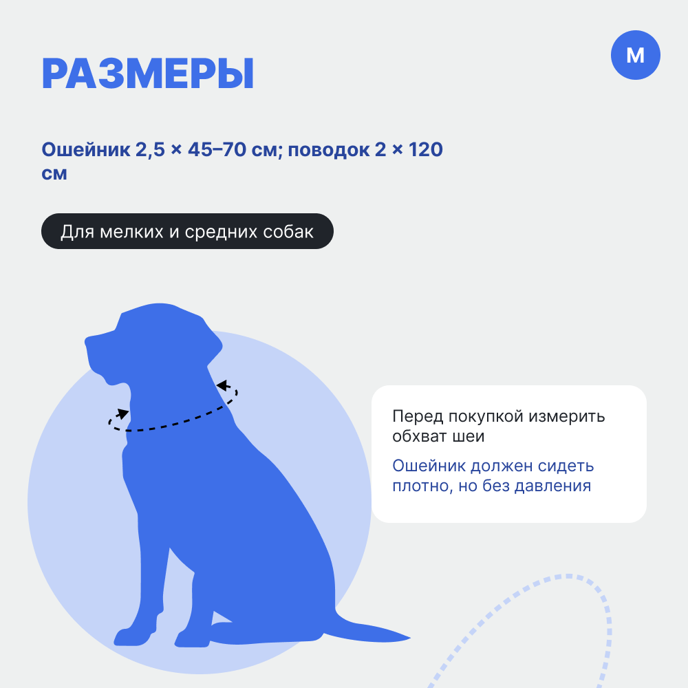 Ошейник и поводок для собак FOXIE Strong M разноцветные