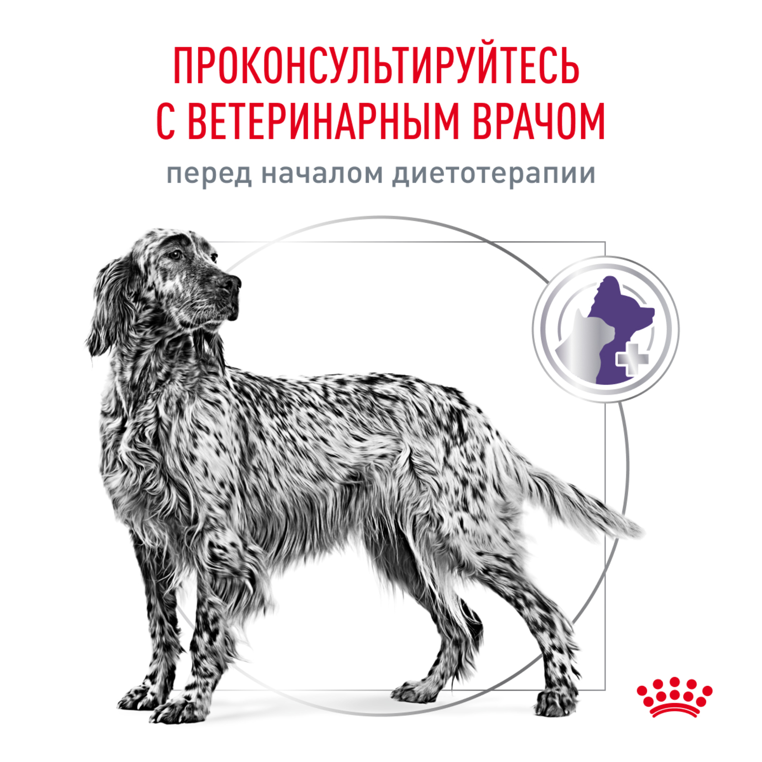 Корм для собак ROYAL CANIN Neutered Adult для стерилизованных и кастрир. старше 12 мес. сух.