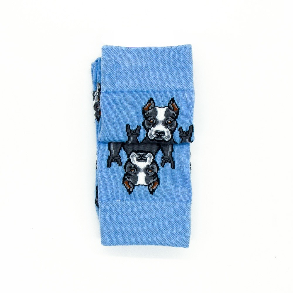Носки MASTER SOCKS Питбуль голубой женские р.25