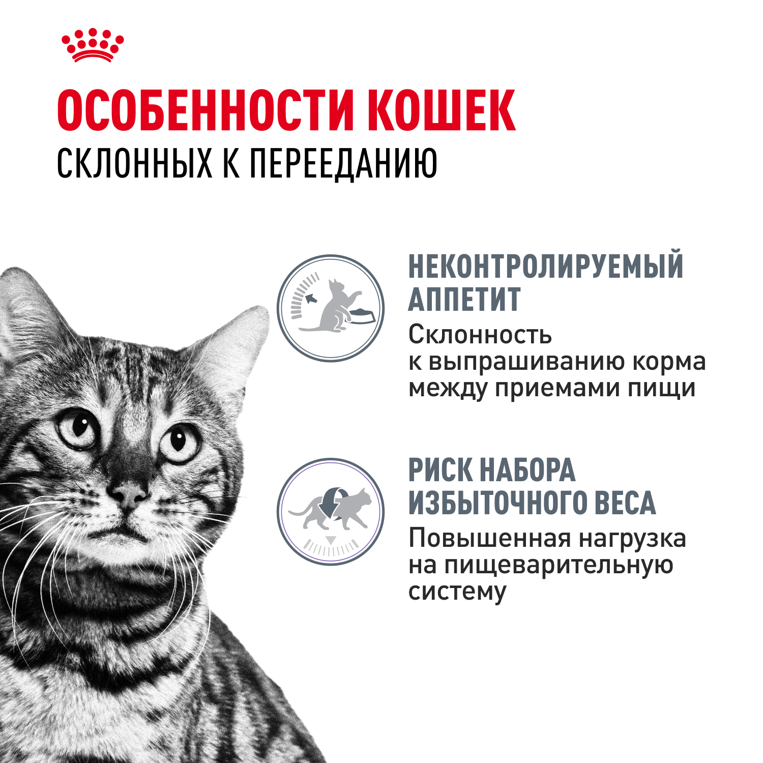 Корм для кошек ROYAL CANIN Appetite Control Care для контр.выпр.корма, мелк.кусочки в соусе пауч