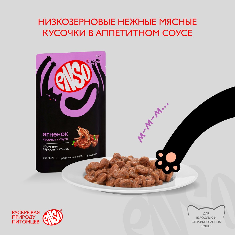 Корм для кошек ENSO кусочки в соусе с ягненком пауч