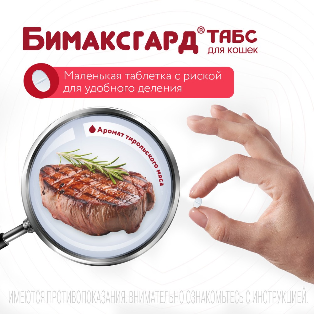 Антигельминтик для котят и маленьких кошек NEOTERICA Бимаксгард ТАБС, 2 таб.(0,5-2кг)