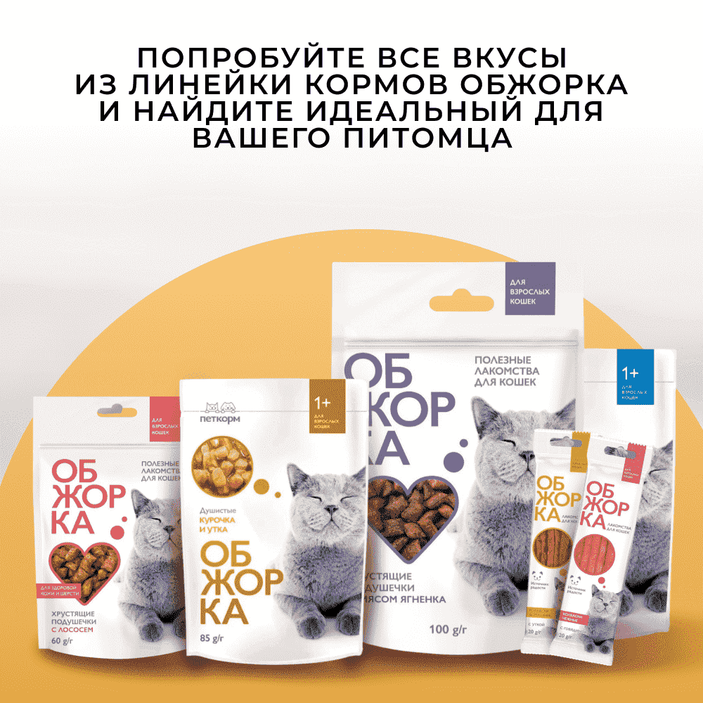 Корм для кошек ОБЖОРКА кусочки в желе с индейкой пауч